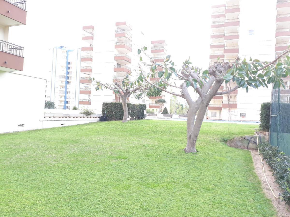 Valldigna 7 Playa De Gandia Solo Familias מראה חיצוני תמונה