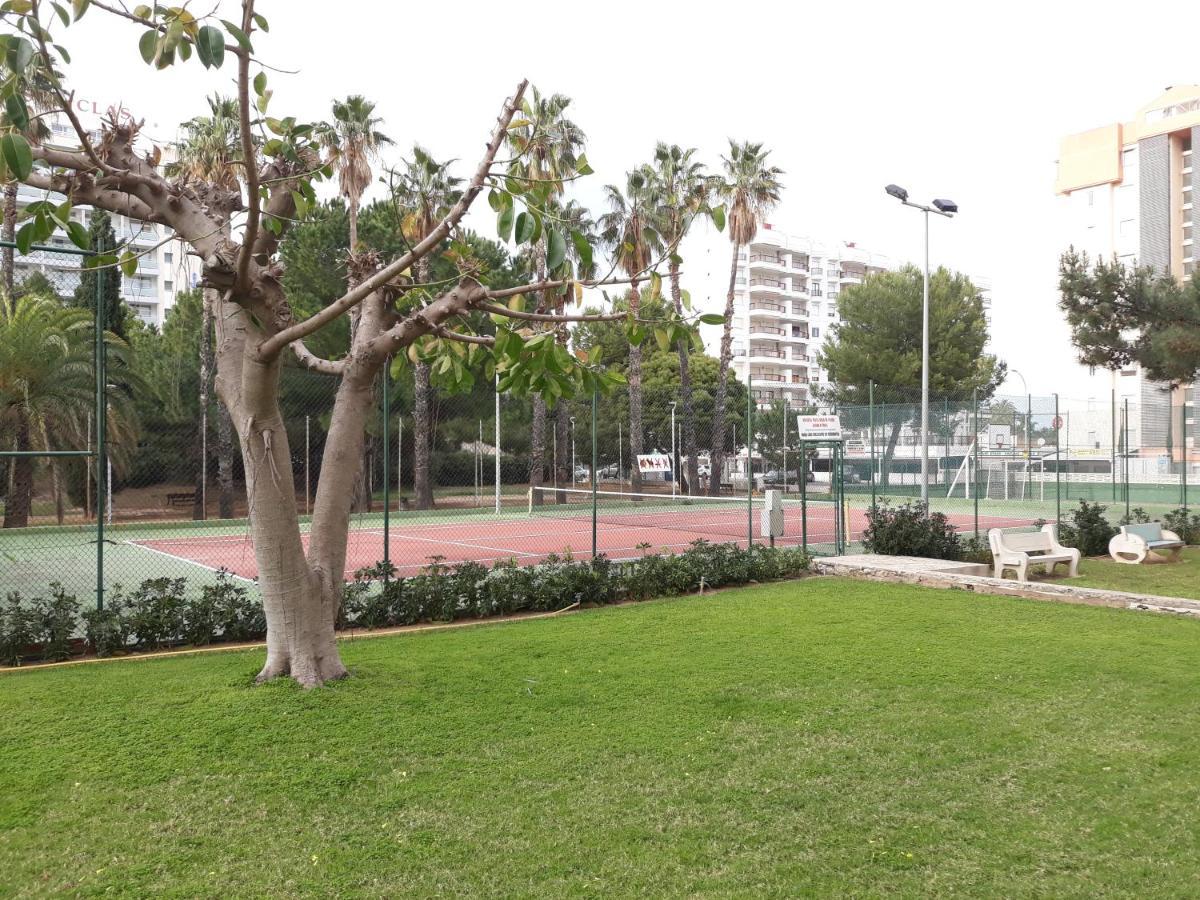 Valldigna 7 Playa De Gandia Solo Familias מראה חיצוני תמונה