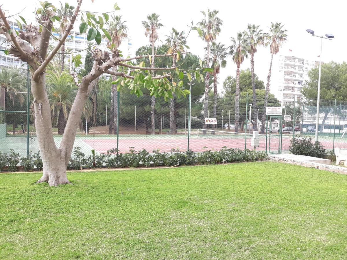 Valldigna 7 Playa De Gandia Solo Familias מראה חיצוני תמונה